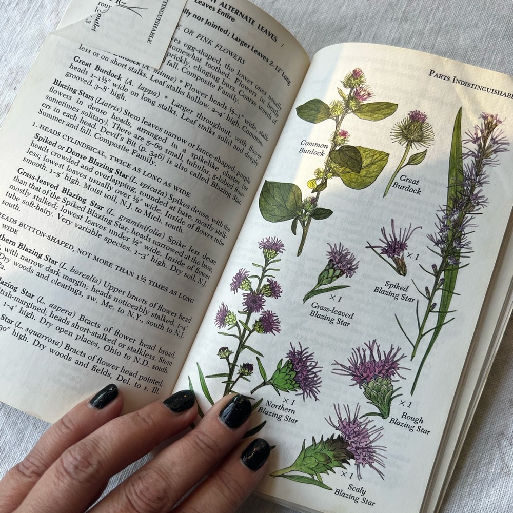 Vintage 1977 Wildflower Guide Book